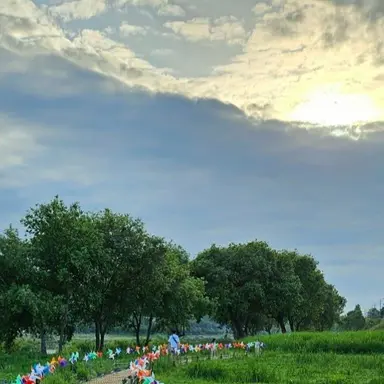 Profile image of 이준