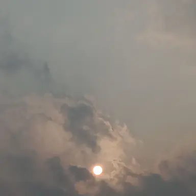 Profile image of 민준