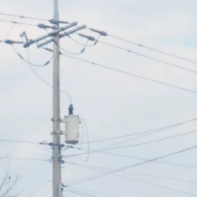 Profile image of 시온