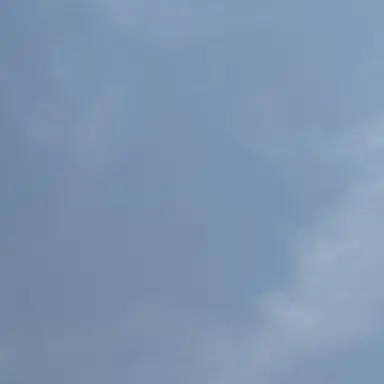 Profile image of 保育士