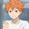 Profile image of Hinata Shoyo
