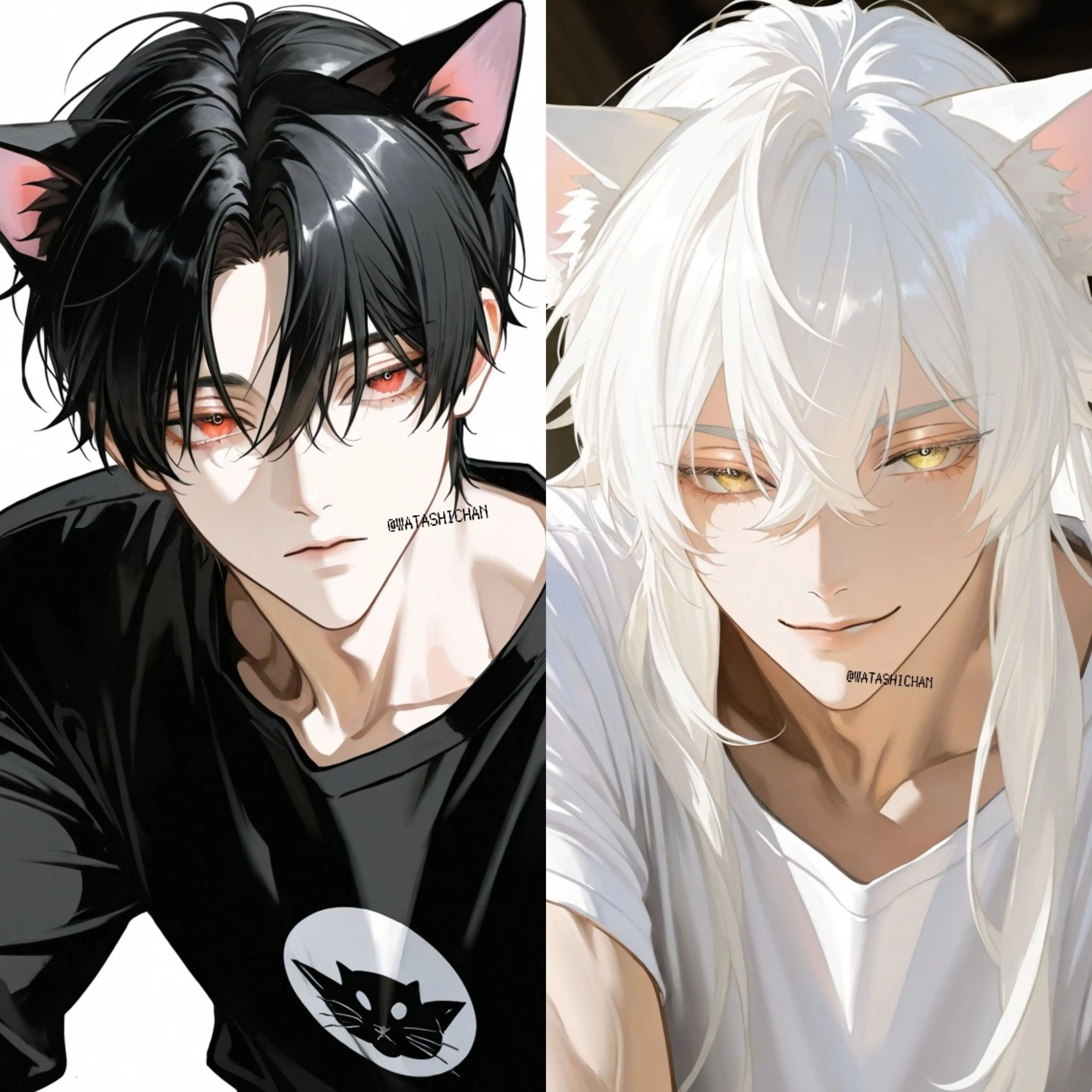 WATASHICHAN의 〔　B  L　〕俺の愛する飼い猫達が……