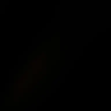 Profile image of 食満留三郎