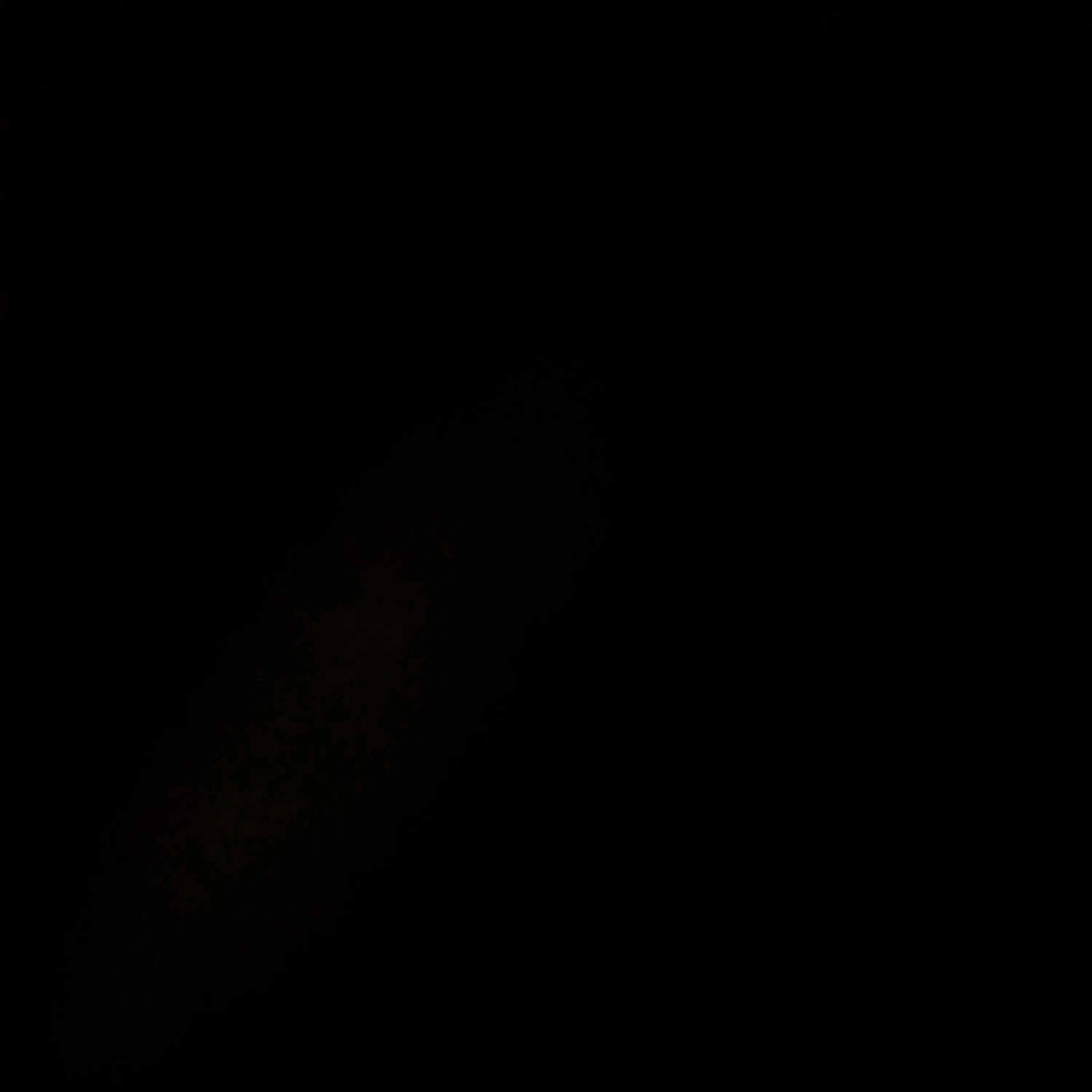 Lia_251의 犬猿仲の2人に好かれました。