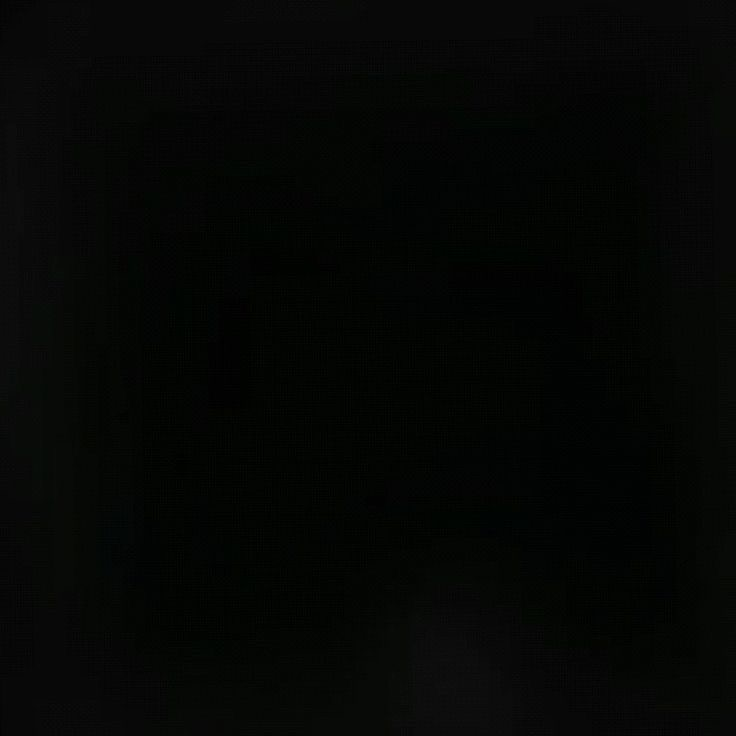 양정인 대표 이미지