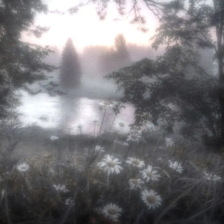 bxp_7의 " 내 것임을 인정하노라. "