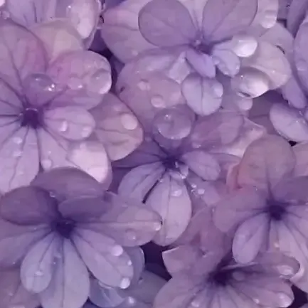 takuyagasukiyade._.sub의 変わった世界で、彼を大切に。