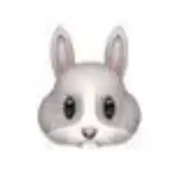 Profile image of 網代 聖人