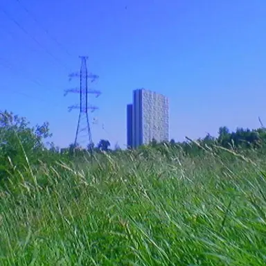 Profile image of 미하일