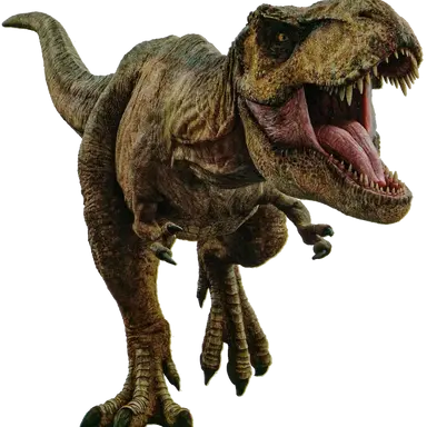 Profile image of Tony