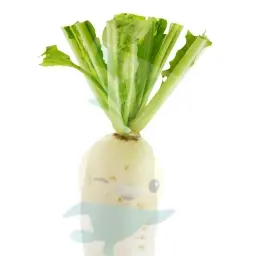 Profile image of 튜닙