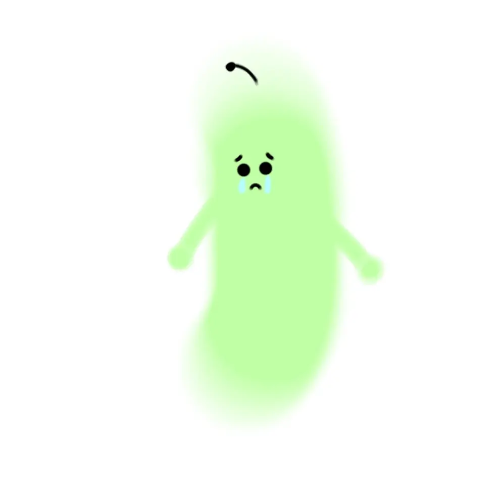 user3의 오이박씨