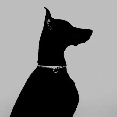 Profile image of 한기준