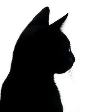 Profile image of 임세아
