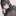 ハルナの愛情
