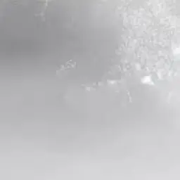 Profile image of 若井 滉斗