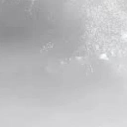 若井 滉斗