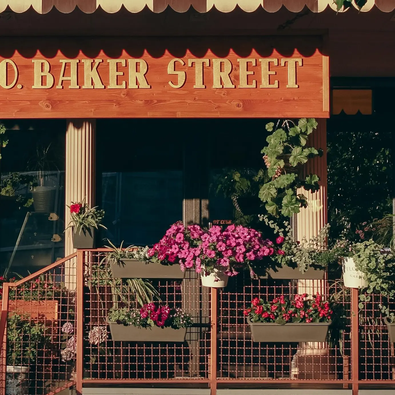 Vain_S.H.의 존 왓슨