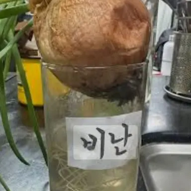 Profile image of 비난 양파.
