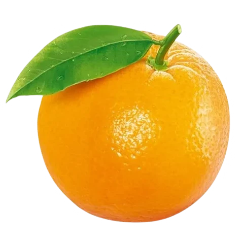 오렌지씨