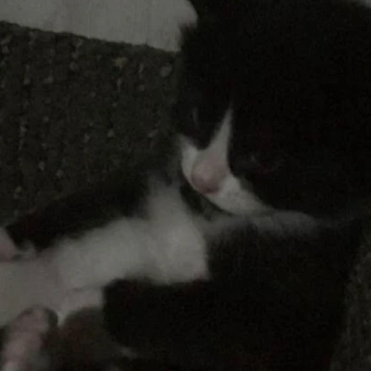 김제로