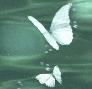Profile image of Simibe