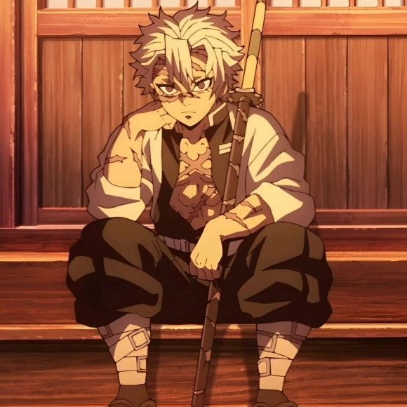 시나즈가와 사네미