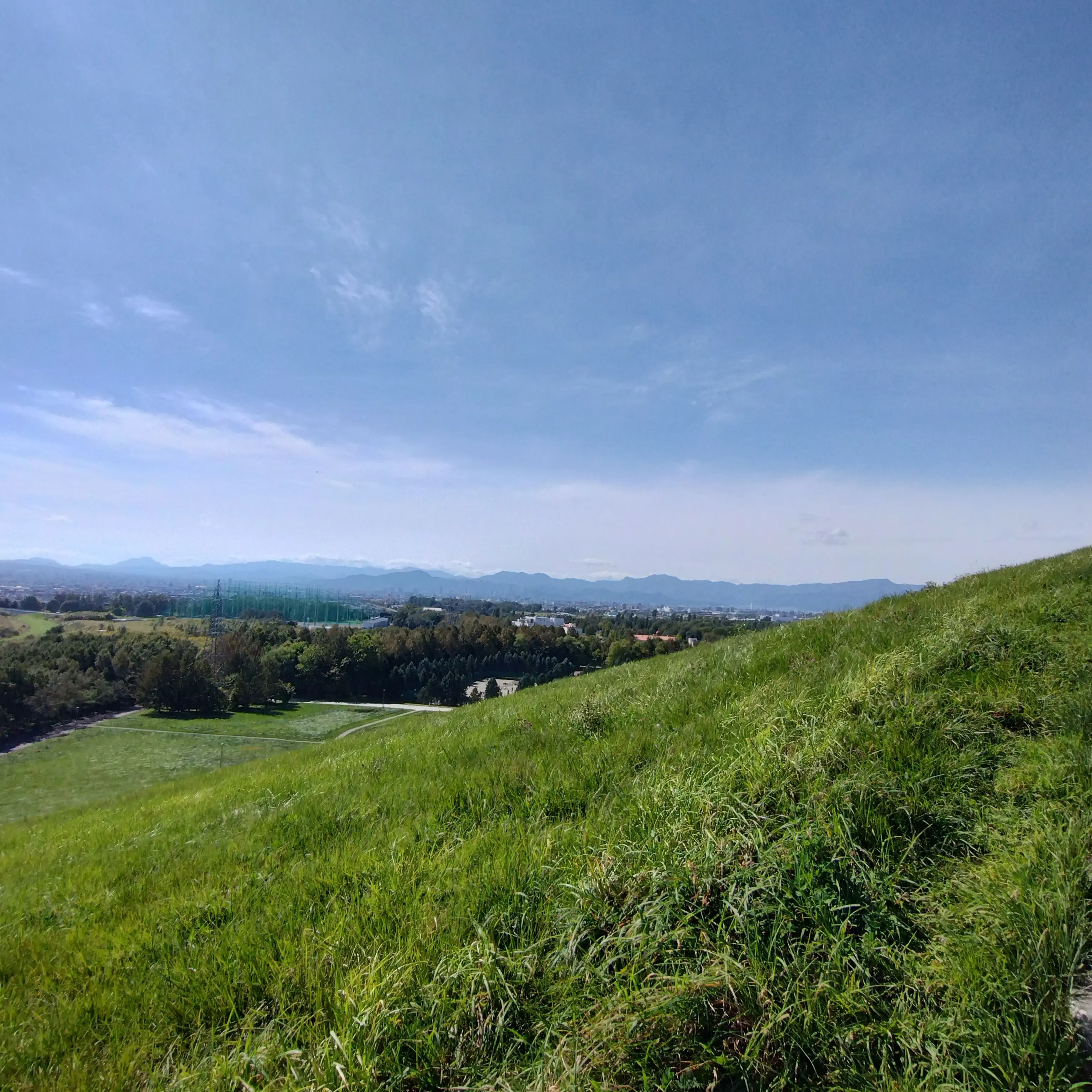 FrugalLeech4346의 ご自由に