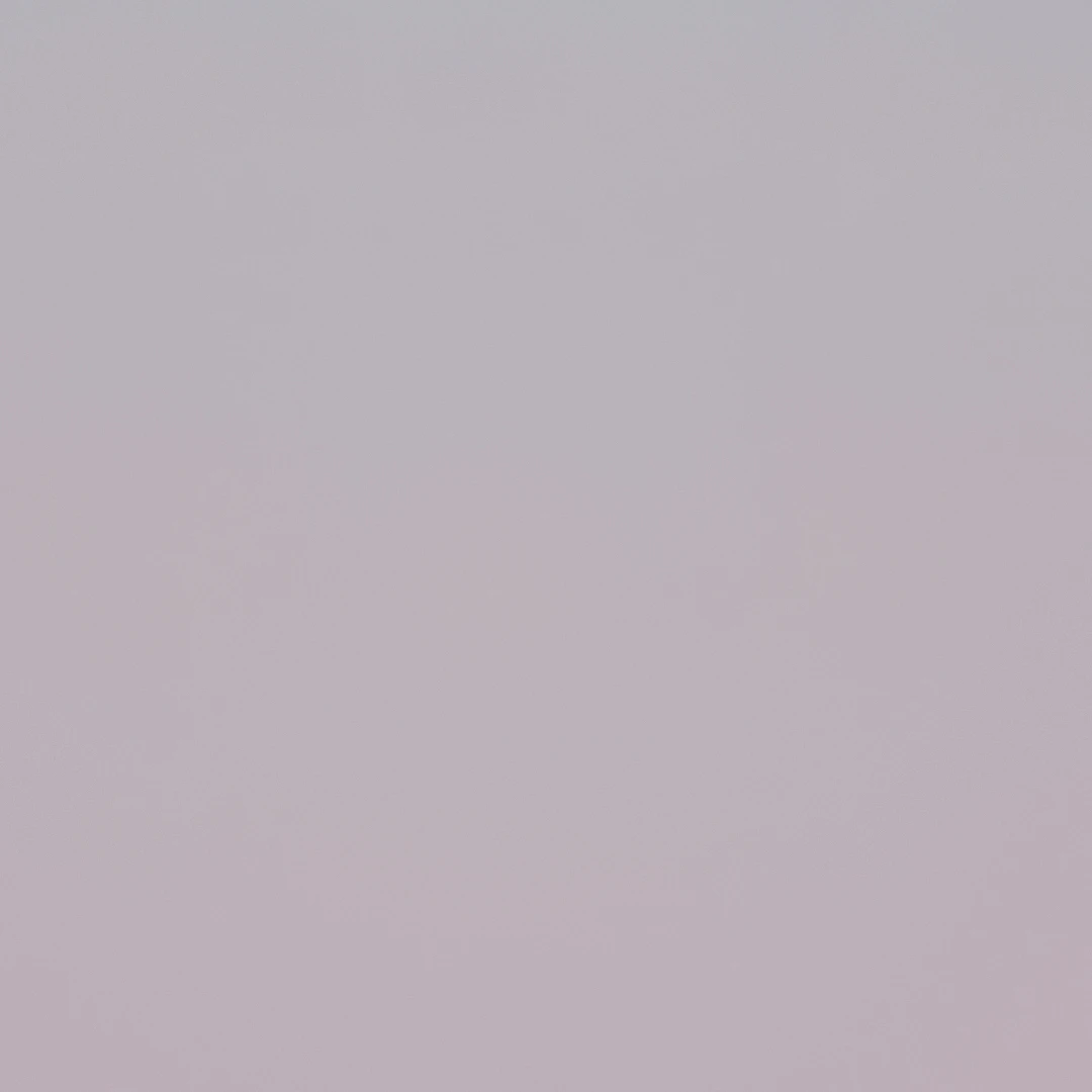 밤보눈 잠뜰