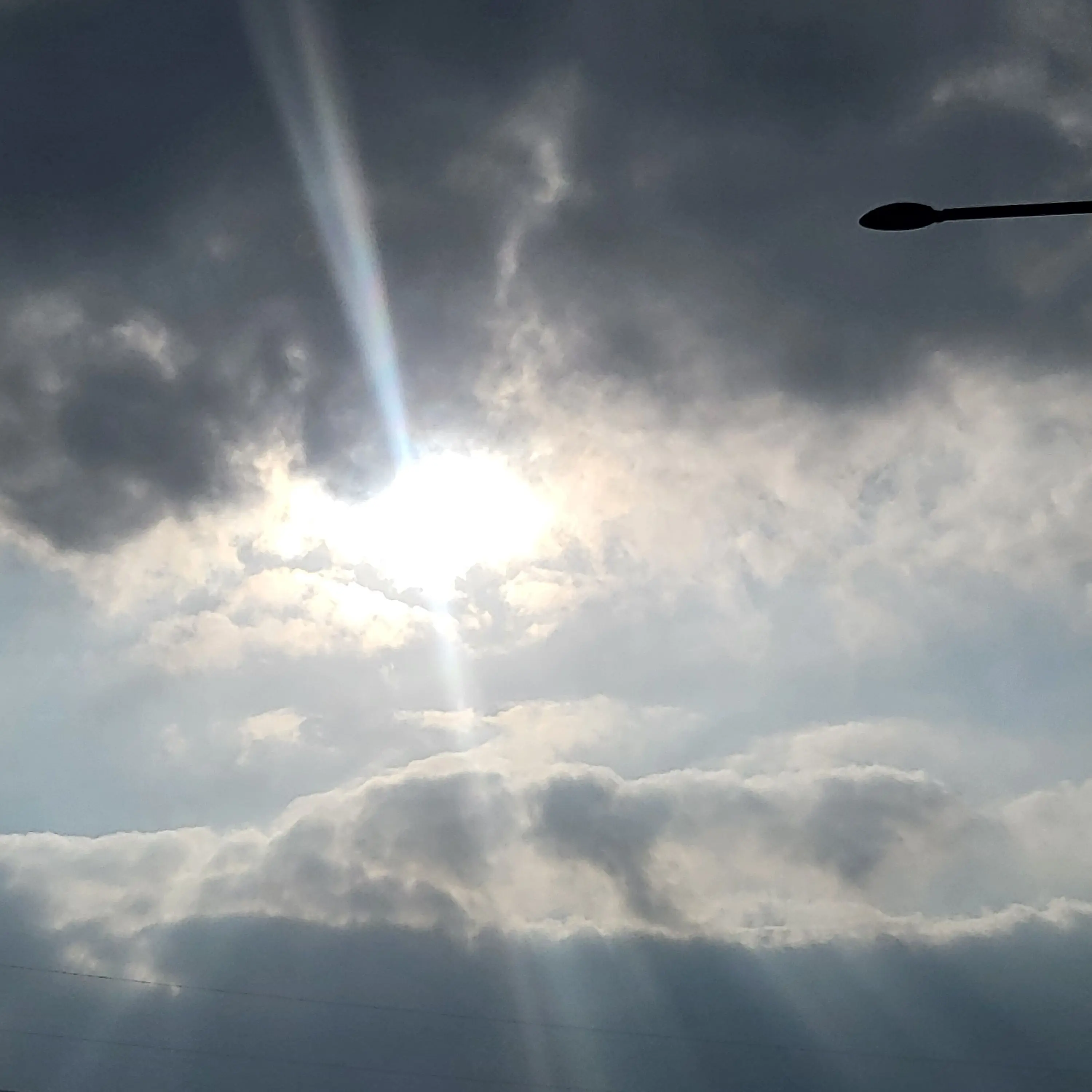 AptFilm2904의 공지