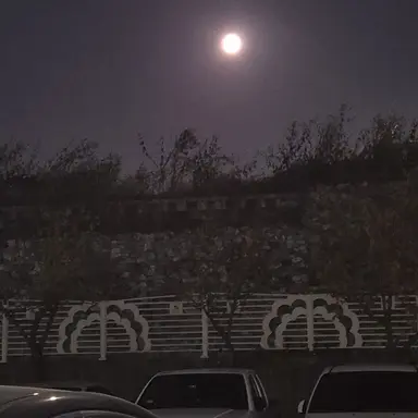 Profile image of 벨키