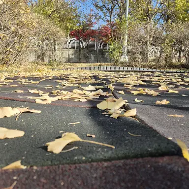 Profile image of 유기사