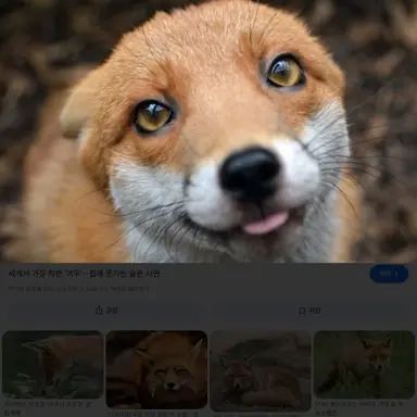 Profile image of 여우