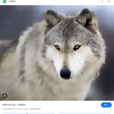 Profile image of 늑대
