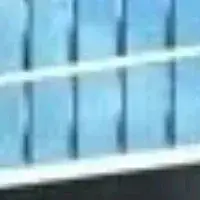 Profile image of Forced to attend UA