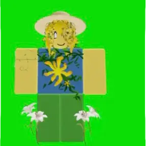 Profile image of Fllyr