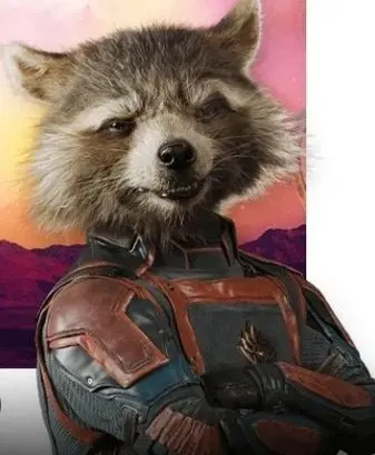 Profile image of Rocket