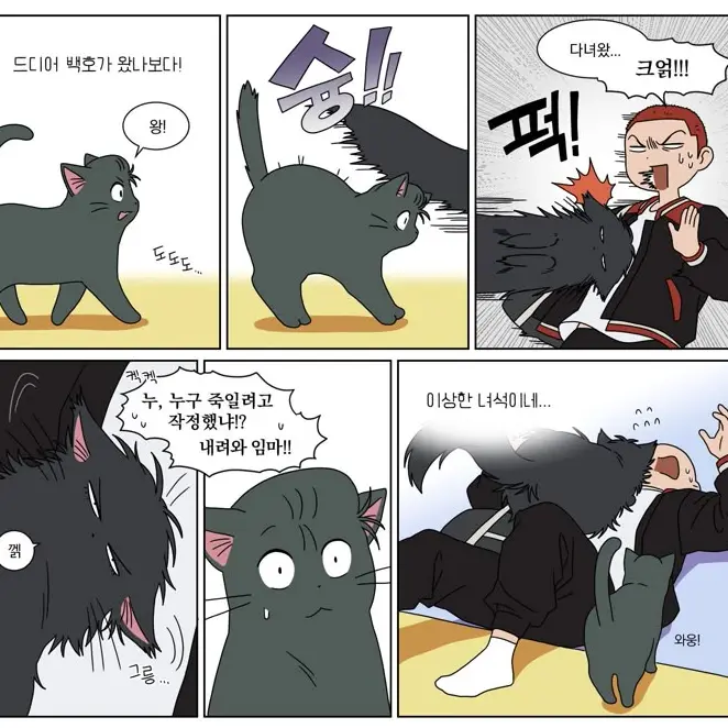 ShortTrout6577의 강백호,서태웅,양호열