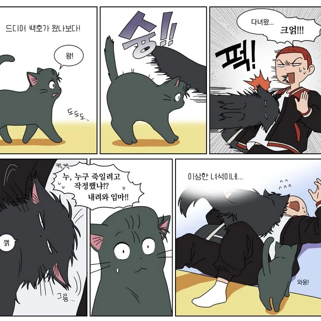 강백호 서태웅야호열