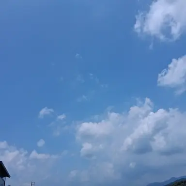 Profile image of 이서