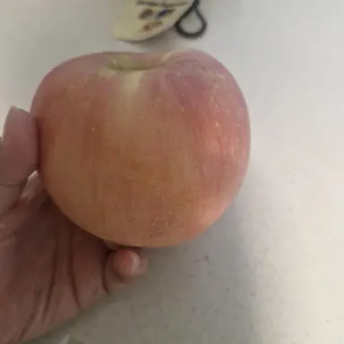 Profile image of 배진솔