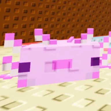 Profile image of 팀착해