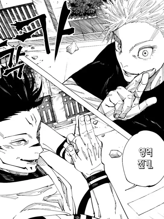 SSSSSSSaaa의 인외마경 신주쿠 결전(고죠VS스쿠나)