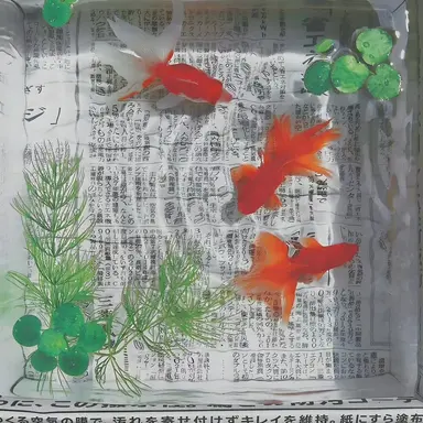 Profile image of 마에다 리쿠