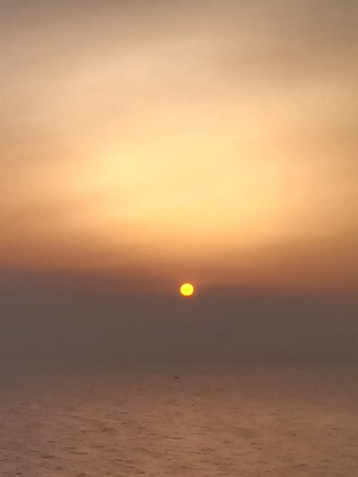 HarshStem0314의 질투심 많은 연하 남친🐶