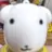 보넥도