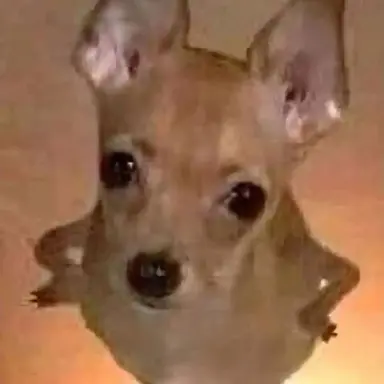 Profile image of 앙