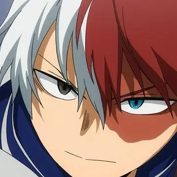 Profile image of Shoto Todoroki