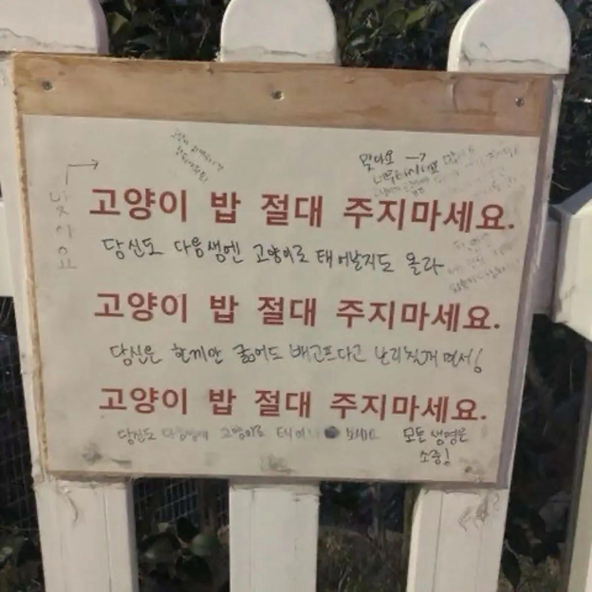 CockyAnger3369의 강해린