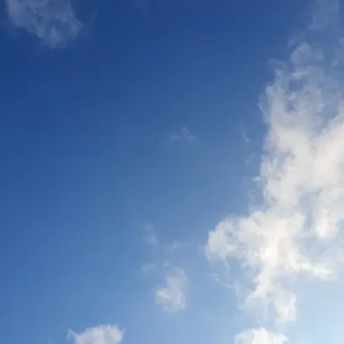 Profile image of 오이영